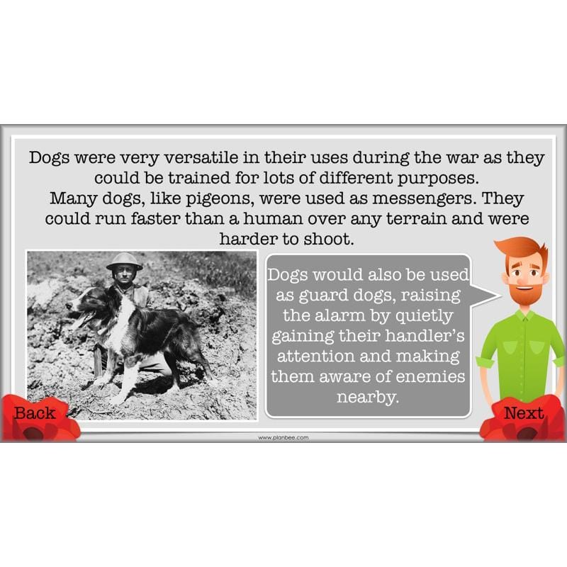 PlanBee World War One: KS2 History lessons, activities and resources