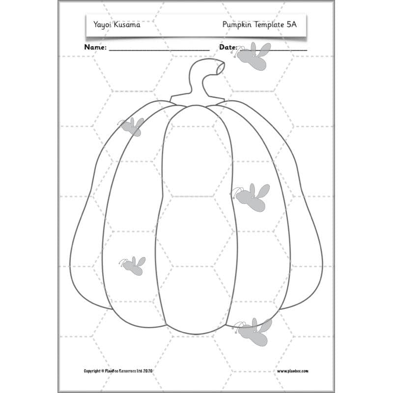 PlanBee Yayoi Kusama Lesson Plan - Famous Artists KS1