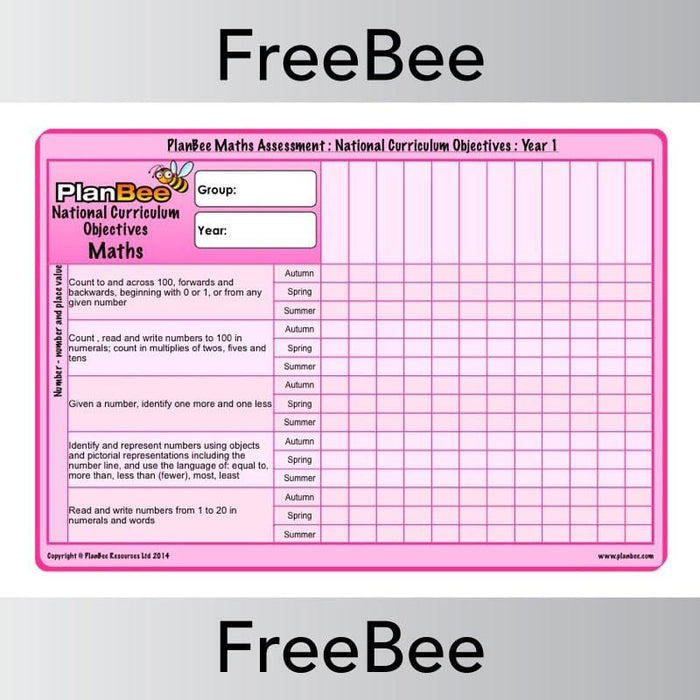 PlanBee Free Year 1 Maths Assessment Grid | PlanBee