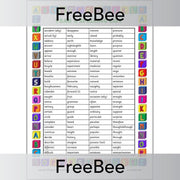 PlanBee Year 4 Spelling Words List by PlanBee