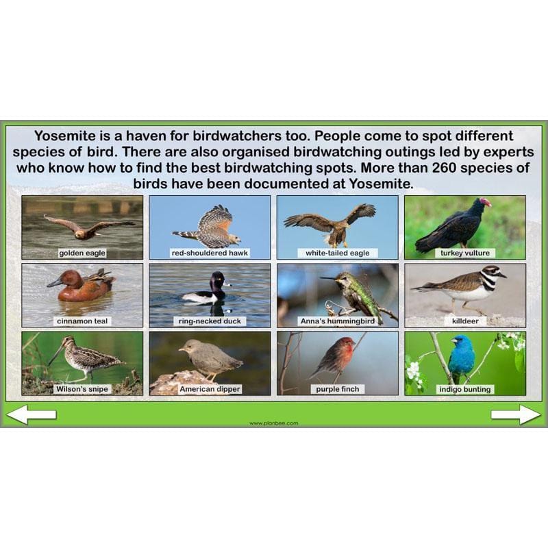 PlanBee Yosemite National Park: Year 5 & Year 6 Geography scheme of work