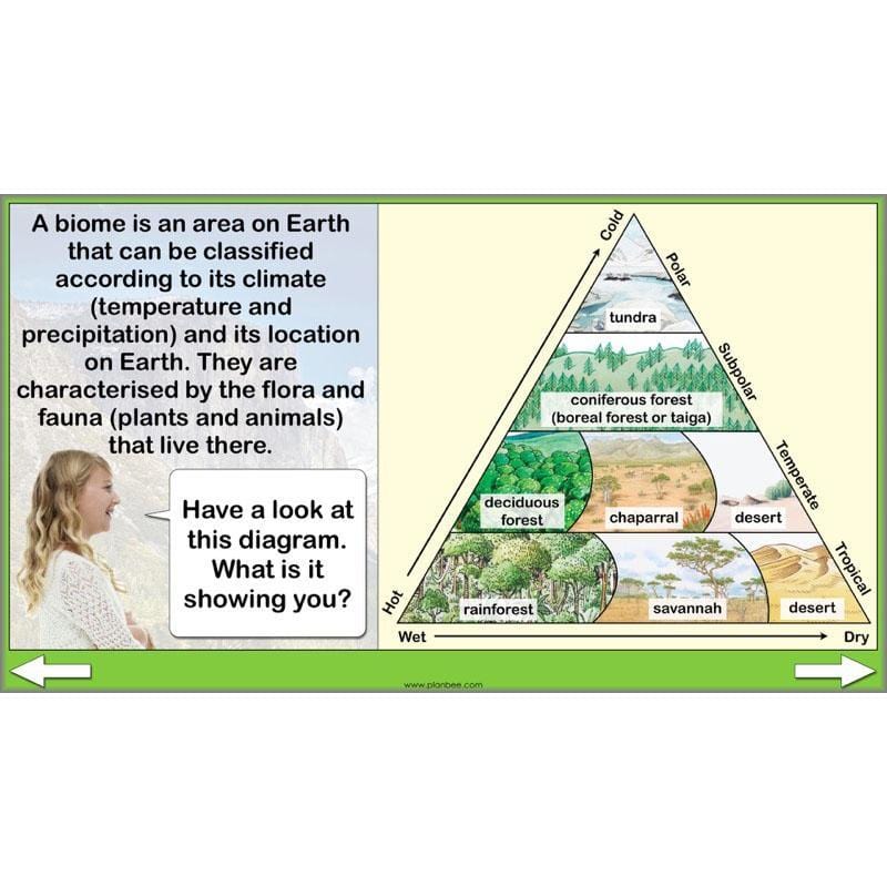 PlanBee Yosemite National Park: Year 5 & Year 6 Geography scheme of work