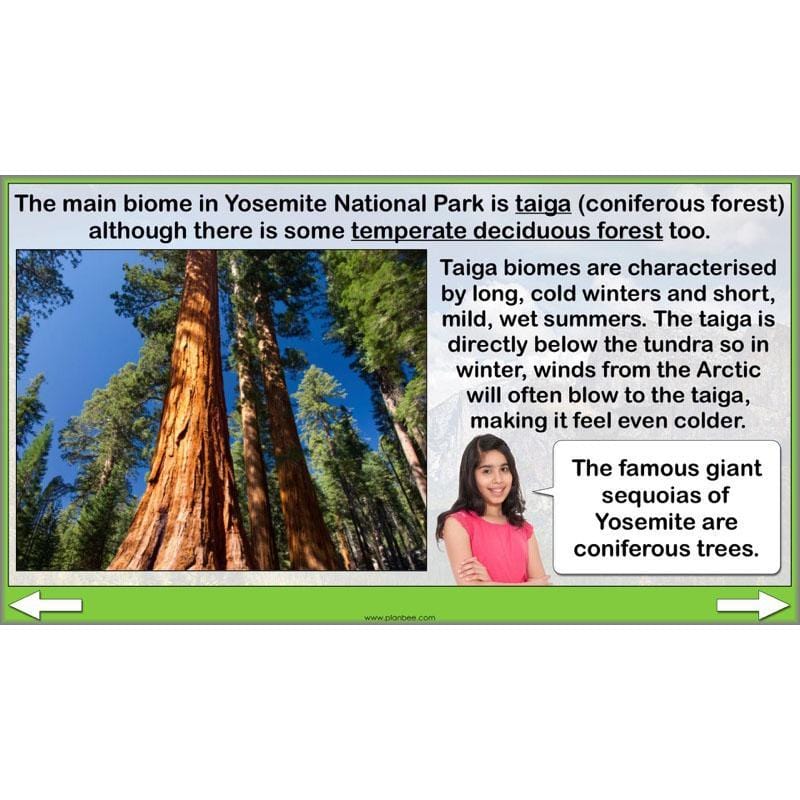 PlanBee Yosemite National Park: Year 5 & Year 6 Geography scheme of work